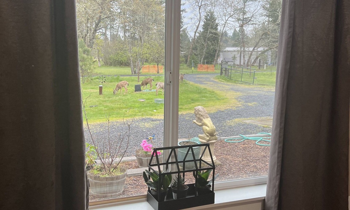 Alvadore House | Beautiful and peaceful house in Veneta Oregon!