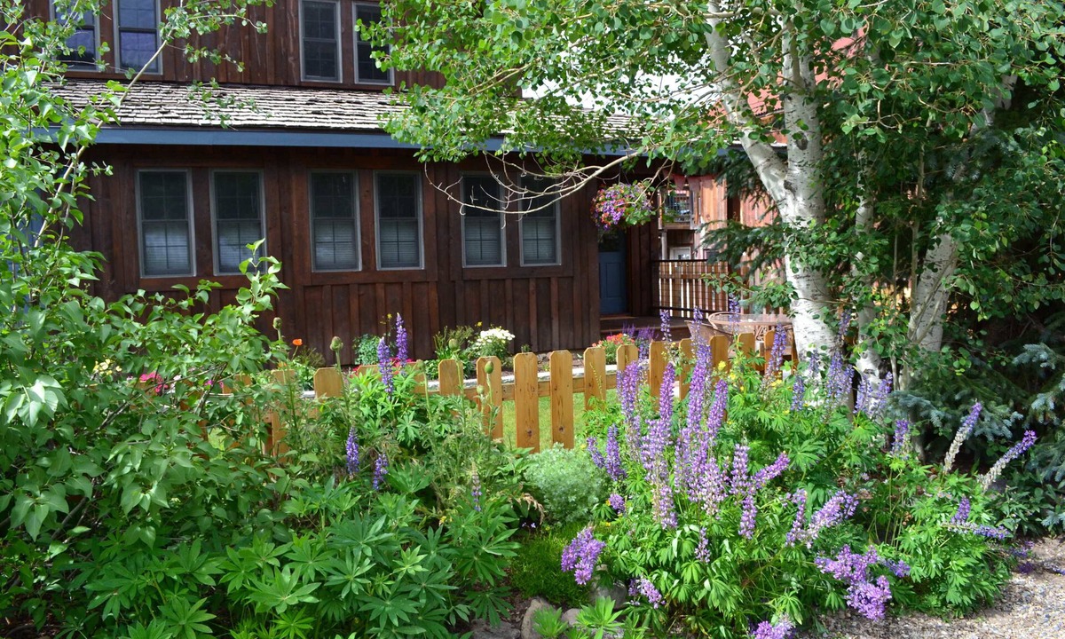 Crested Butte House | Beautiful home in the heart of town.