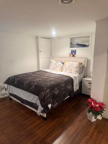 Alden Manor Apartment | Cozy Studio