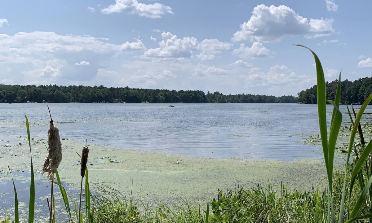 Tomahawk House | Lake Alice Duck Bay Chalet, Atv/Utv Snowmobile Hunting Paradise!