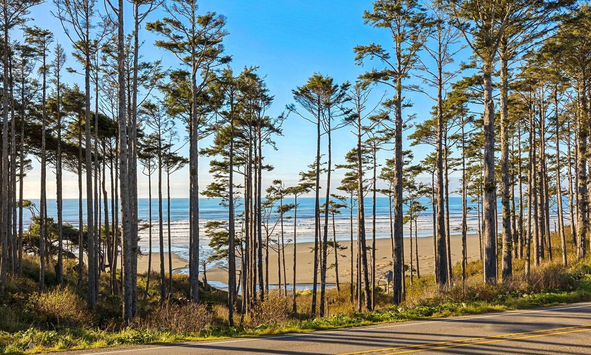 Seabrook House | *NEW* The Hermit: Private Hot Tub, Dog Friendly!