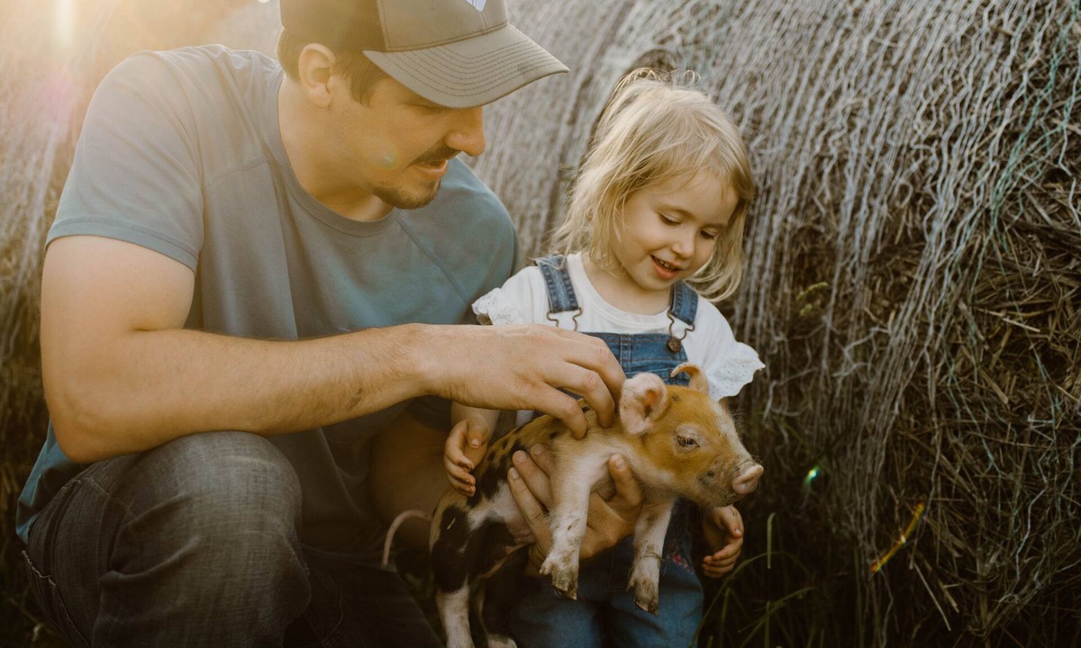 Stearns County House | O'Halloran House-Feathered Acres Learning Farm & Inn
