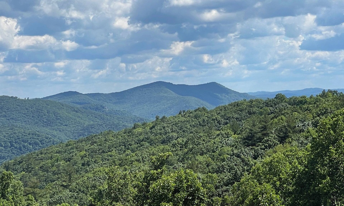 Roaring Gap Condo | Olde Beau Golf/Blue Ridge Mountains Golf/Resort 1BR 1BA Condo PET FRIENDLY!