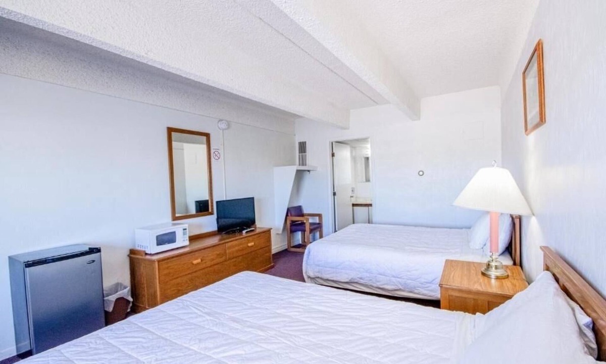 Osborne Hotel | Perfect Budget 2-Room Stay for Pet Owners – Friendly & Comfortable