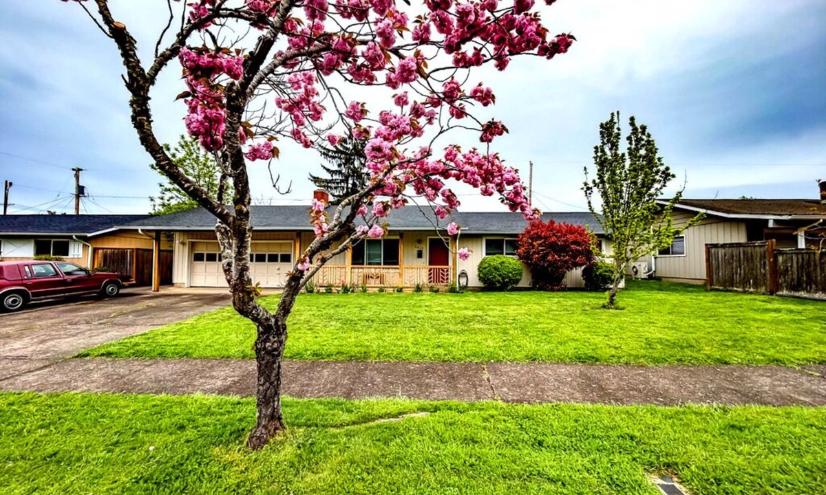 Friendly House | Pet Friendly Home in Quiet, Family Neighborhood