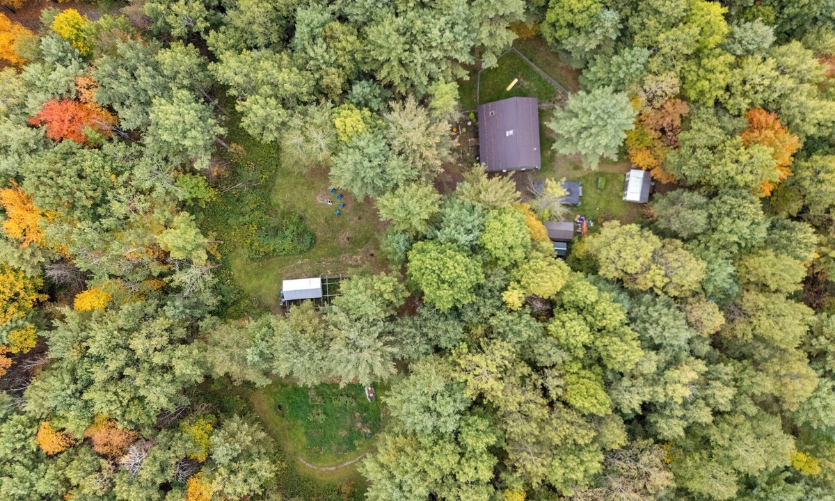 Prattsburgh House | Private Oasis|15 acres|Fireplace|Fire Pit|Hiking|Wine Tasting|Pet Friendly