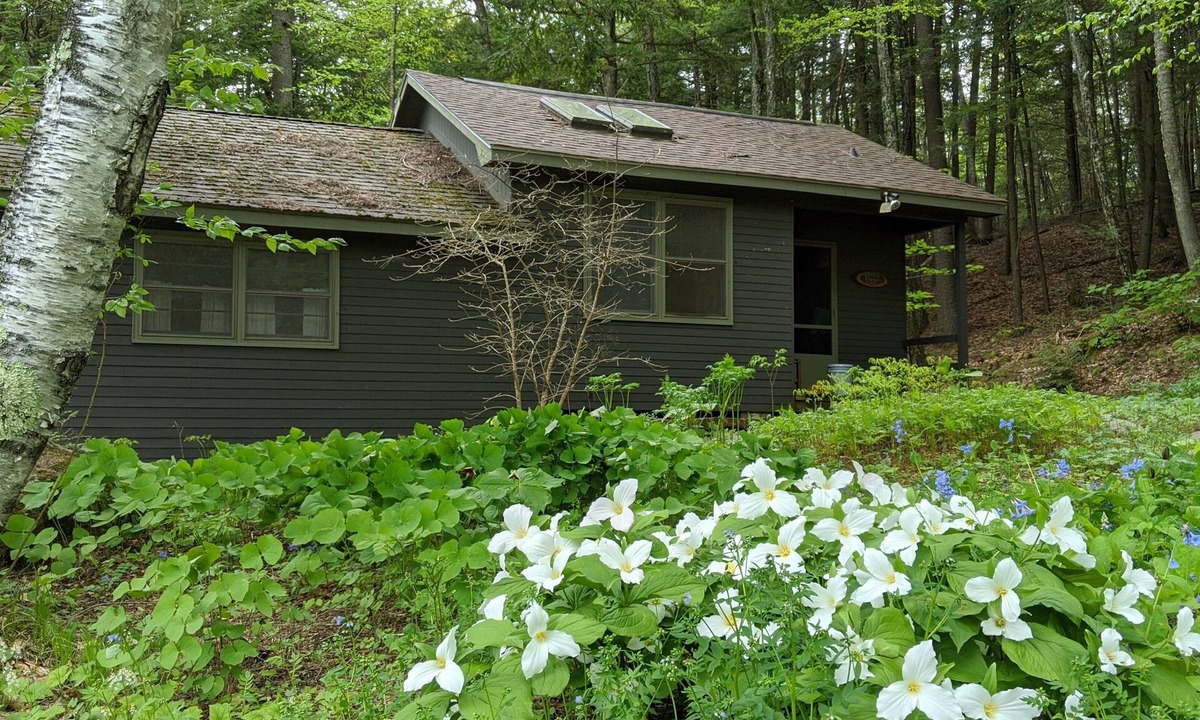 Pittsfield Cabin | Quaint cottage on peaceful NH lake! Enjoy swimming, kayaking, and trails.
