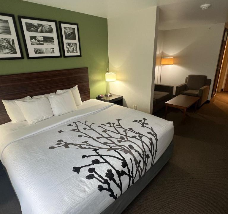 Eau Claire Hotel | Sleep Inn & Suites Conference Center Eau Claire North