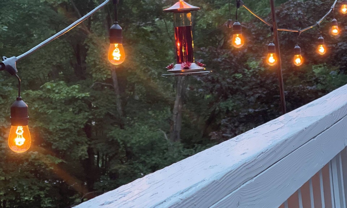 Birch Hill House | Storyland and Summer are coming! Large North Conway, NH home w/plenty of space.