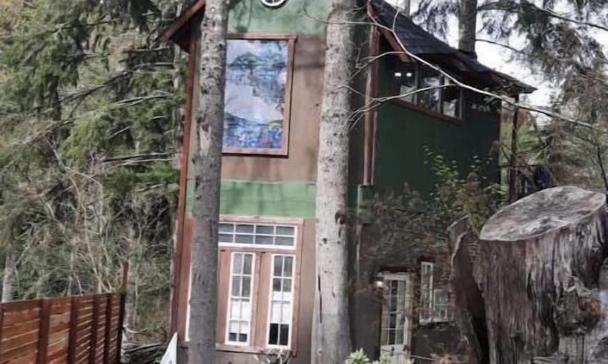 Paradise Estates Cabin | T, s Creekside cabin. King Bed/Hot tub/treehouse