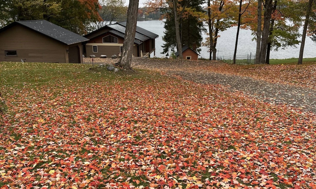 Iron River House | The Ice House - An UPscale U.P. lake home