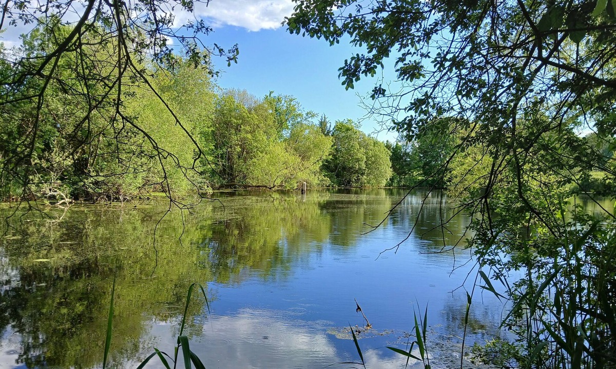 Preston House | Waterfront 3-bedroom w Firepit, Game Room, ~1 mile to Foxwoods, Great Wolf Lodge