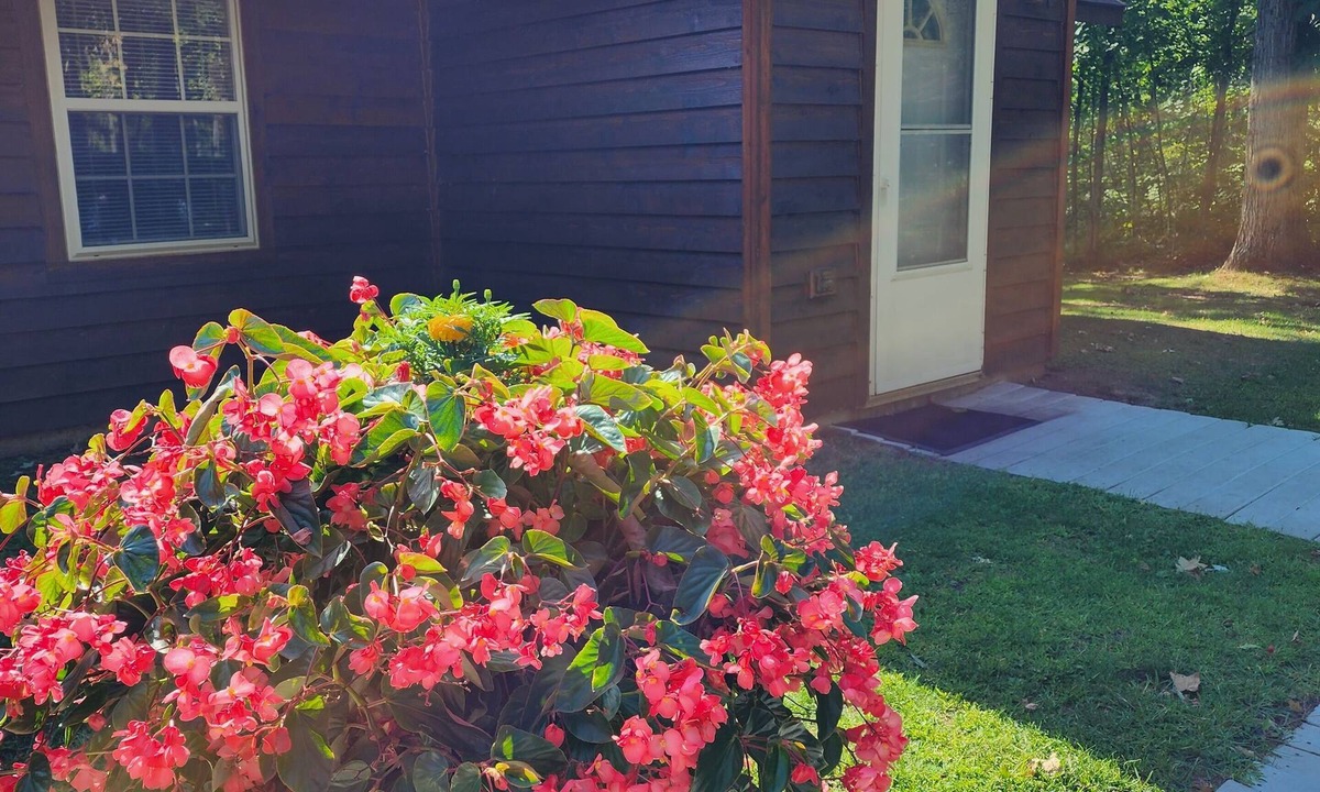 Chief Lake Resort | Willow Oak Cabin- Cabin on the Chippewa Flowage within a Resort