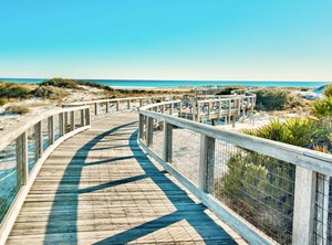 Beach Cottage Golf Carts Tram | WaterSound West Beach