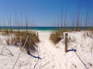 Beach Cottage Golf Carts Tram | WaterSound West Beach