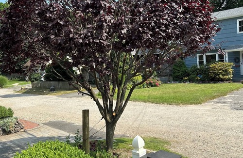Bayville House | 2bed/2bath Beach Bungalow in Bayville, NY