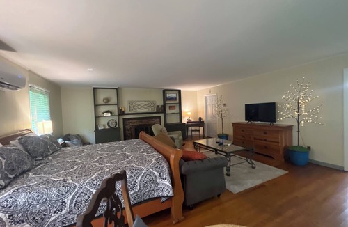 Damascus Apartment | Big Dam Room right off VA Creeper Trail Damascus