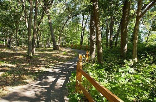 Wisconsin Dells Other | BLOCK Christmas Mtn Village 3 bedroom