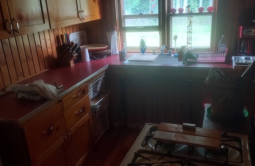 Grand Marais Cabin | BLUE MOOSE LODGEnGrand MaraisnRUSTIC CABIN on Devil Track Lake