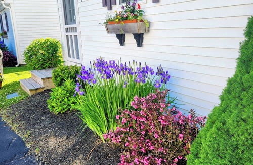 Charlestown Cottage | Charming 1-bedroom cottage in lovely Charlestown with WiFi, AC