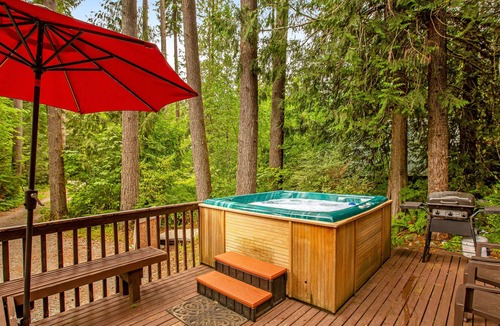 Skykomish Cabin | Charming dog-friendly cabin with mountain view, grill, & hot tub