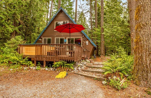 Skykomish Cabin | Charming dog-friendly cabin with mountain view, grill, & hot tub
