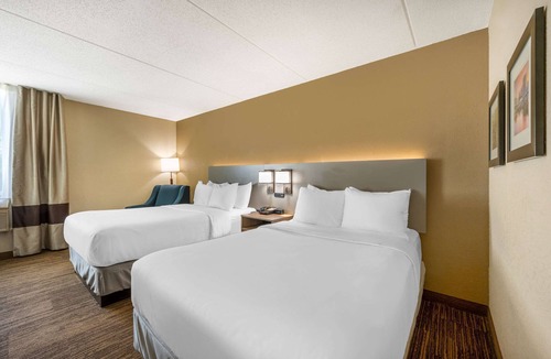 East Hartford Hotel | Comfort Inn & Suites East Hartford - Hartford