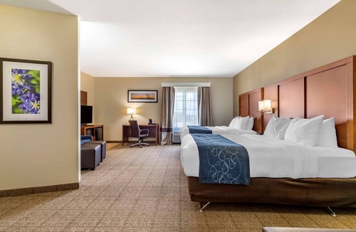 Buda Hotel | Comfort Suites Buda - Austin South