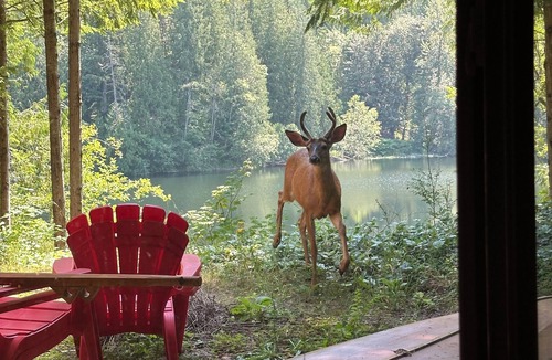 Enumclaw Ski Chalet | Cozy 3-bedroom lakeside chalet near Enumclaw