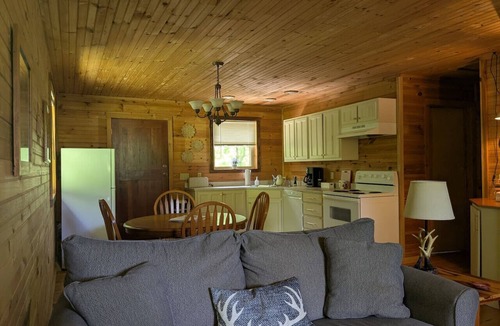 Lynn Garden Cabin | Cozy Cottage-Devil`s Bathtub/Nat Tunnel