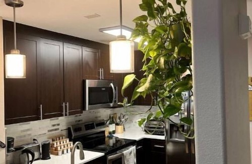 Walnut Creek Apartment | Cozy Downtown Walnut Creek Apt