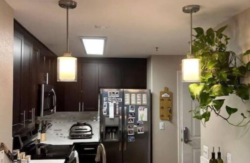 Walnut Creek Apartment | Cozy Downtown Walnut Creek Apt