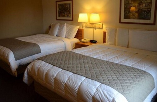 Thorp House | Dive Into Your Dream Vacation! 2 Comfortable Units, Free Parking, Pets Allowed