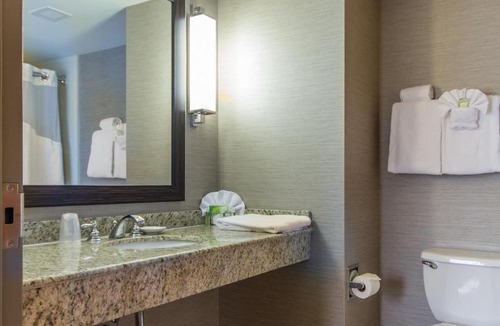 Auburn Hotel | Holiday Inn Express Hotel & Suites Auburn by IHG