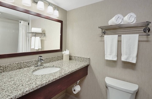 Carol Stream Hotel | Holiday Inn & Suites Chicago-Carol Stream (Wheaton) by IHG