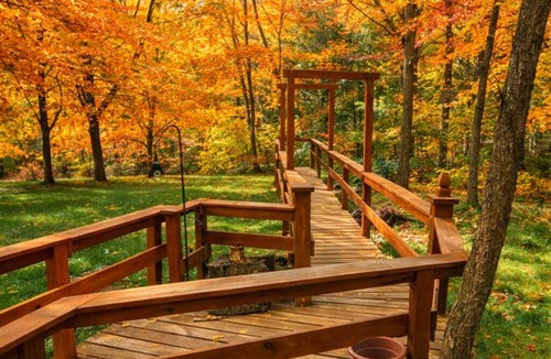 Nineveh Cabin | Hot Tub Log Cabin on 5 Wooded Acres. Private fishing pond.