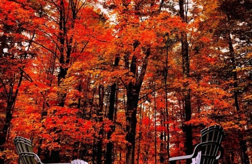 Barton Cabin | Hut on the Hill at Mountain Pines Vacation Rentals