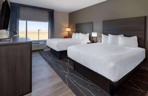 Holbrook Hotel | La Quinta Inn & Suites by Wyndham Holbrook Petrified Forest