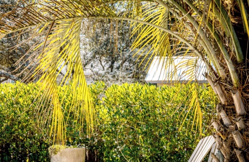 Grayton Beach House | Lazy Magnolia at Grayton 3b/3b private nice pool area, renovated baths!