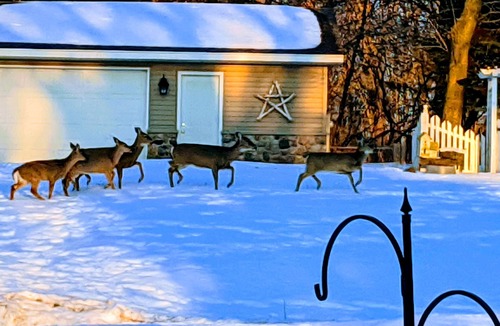 Hilbert House | Lola's Lakeside Estate on Lake Winnebago