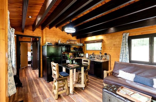 Brevard Cabin | Luxurious Dog-Friendly Cabin with Fireplace, Surrounded by Forest for a Cozy Couples Getaway in the Mountains in North Carolina