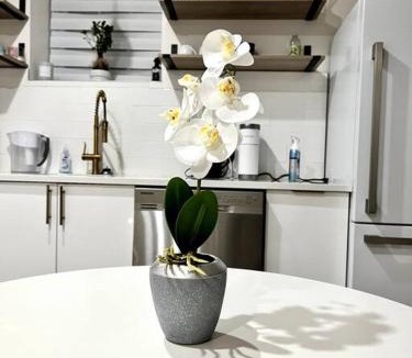 Wanskuck Apartment | Luxury and cozy 1 Bed Condo in the heart of Providence