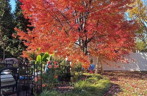 Middletown House | Manchester Manor 4 bedroom house with privacy fence and play-ready back yard