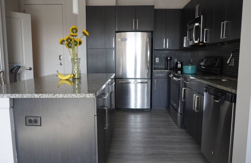 Douglas Park Apartment | Modern, Sleek Apartment Close to Everything . Garage Parking Included