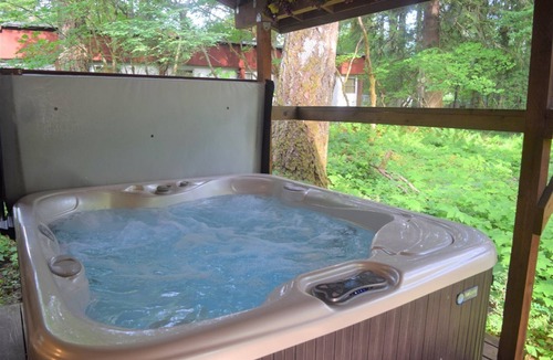 Packwood Cabin | Moose Manor