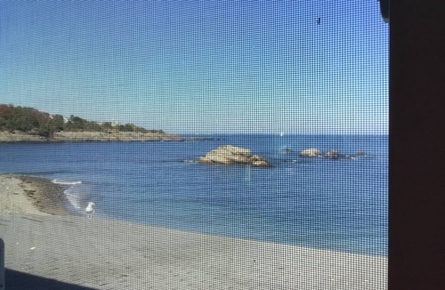 Ogunquit Condo | Oceanfront - Glorious Views of Perkins Cove