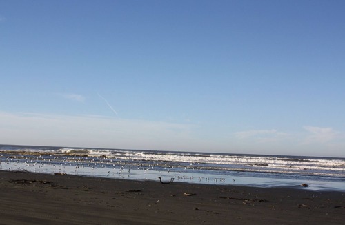 Ocean Shores Condo | Oyhut Bay *Spacious 2BR/2BA+ Den*Free WiFi*Big Kitchen*Gas Fireplace