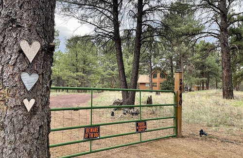 Flagstaff Cabin | Peaceful Pines Cabin -3 fenced acres, trails, slopes, downtown Flagstaff close!