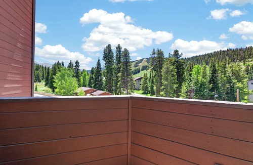 Old Town Condo | Pet friendly 2 bed, private decks w/views, walk to WP Resort