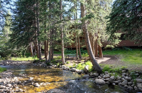 Old Town Condo | Pet friendly 2 bed, private decks w/views, walk to WP Resort